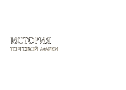  История торговой марки